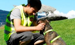 Voluntarios de Help Guau