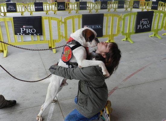 2-mercado-semanal-llica-de-vall-1