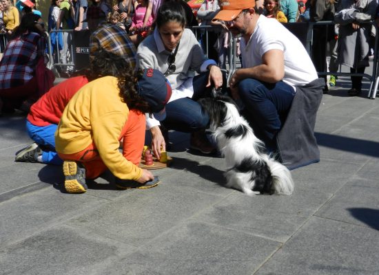 2-mercado-semanal-llica-de-vall-1