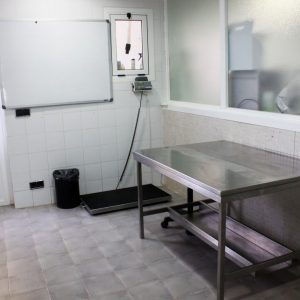 Veterinaria de Help Guau